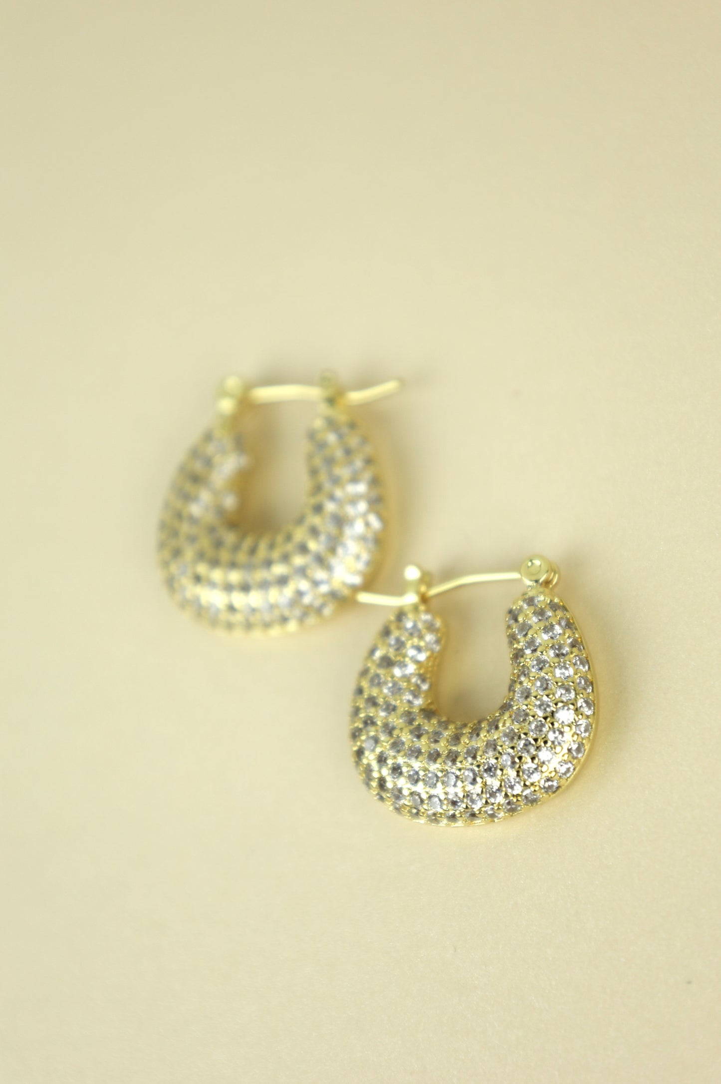 Tierra Pavé Earrings
