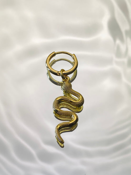 Rebirth snake Earring