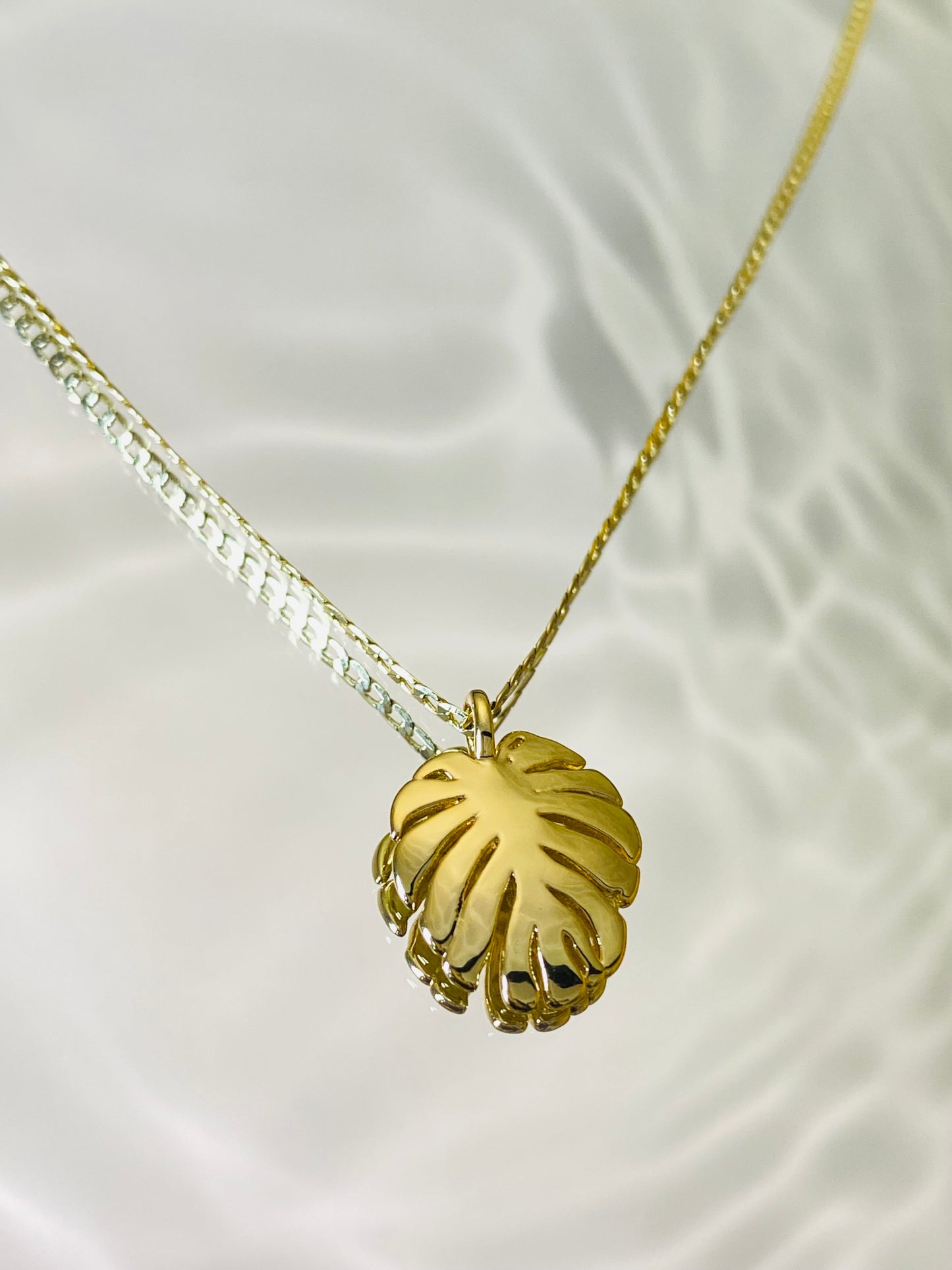 Monstera Leaf