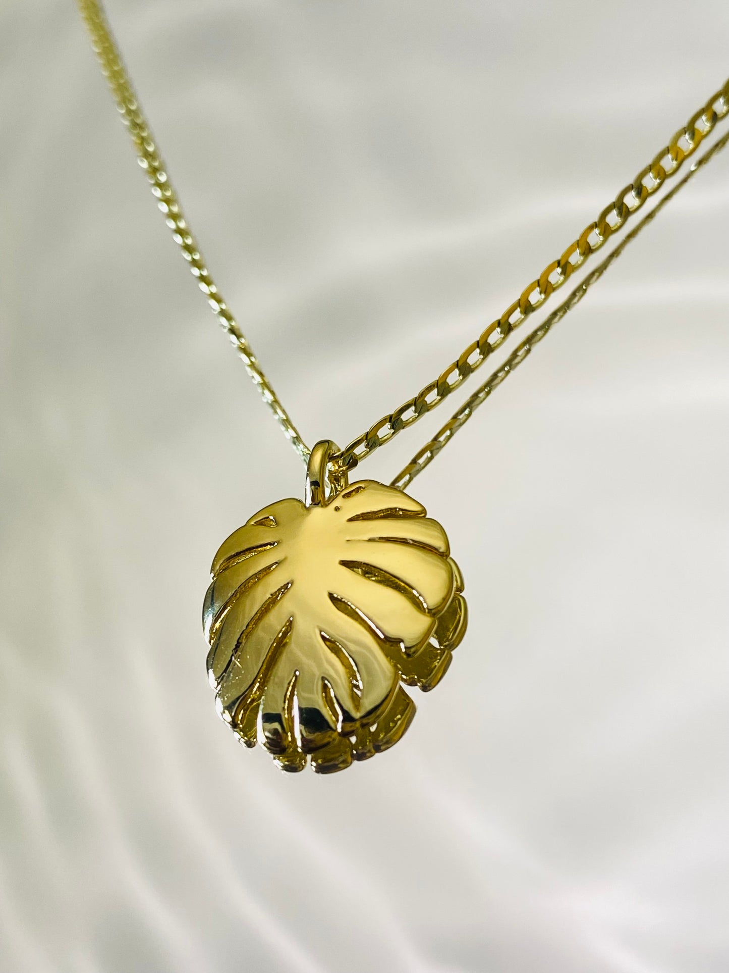 Monstera Leaf